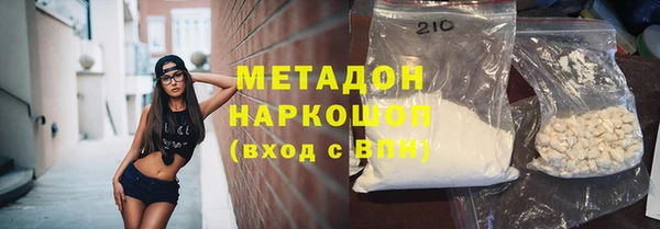 стаф Тайга
