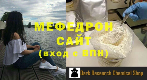 стаф Тайга