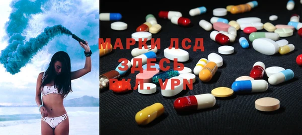 стаф Тайга