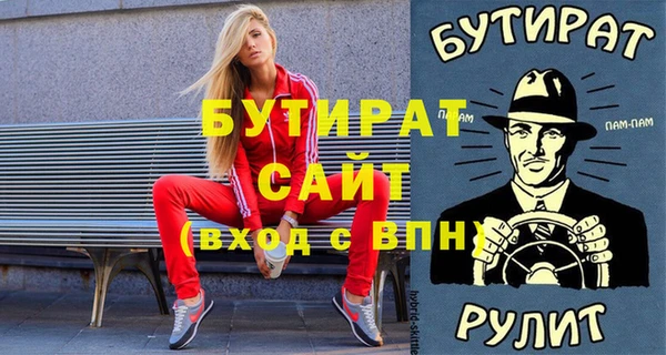 стаф Тайга