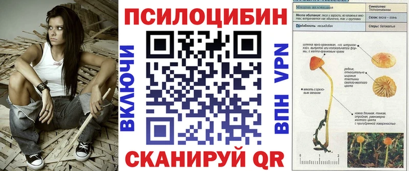Псилоцибиновые грибы Magic Shrooms  купить наркотики сайты  Барабинск 